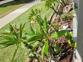 13180 Nassau Dr 210D, Seal Beach CA 90740
