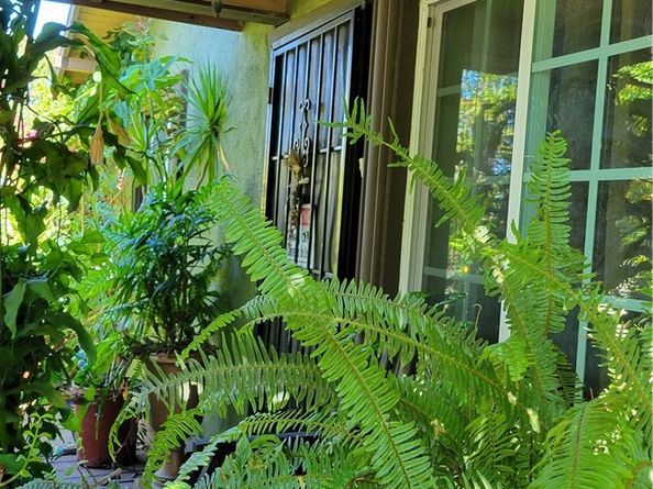 8600 S Gate, South Gate CA 90280