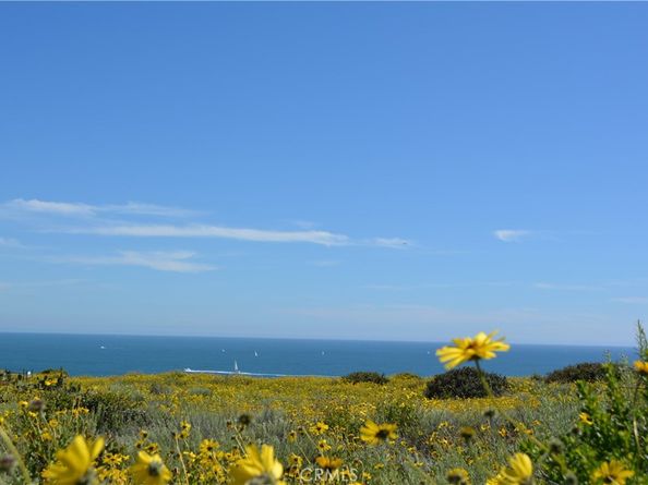 34381 Dana Strand Road, Dana Point CA 92629