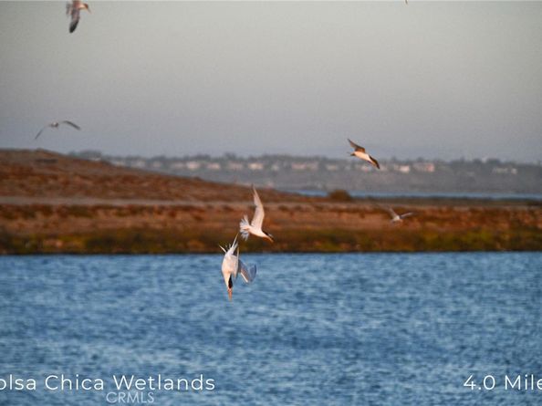 414 Main 400, Huntington Beach CA 92648