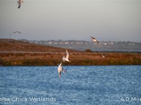 414 Main Street 420, Huntington Beach CA 92648