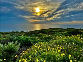 26972 Mill Pond Road 30, Dana Point CA 92624