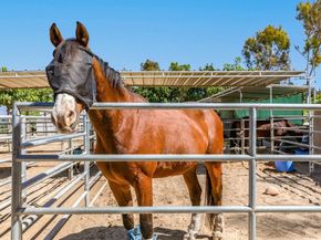 2104 Ronda Granada A, Laguna Woods CA 92637