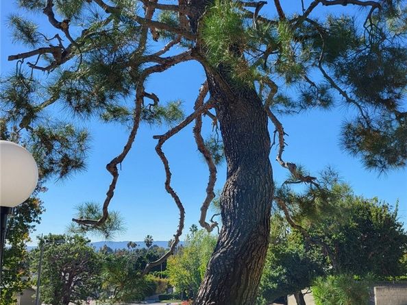 15775 Midwood Drive 3, Granada Hills CA 91344