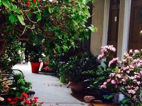 1329 S Saltair, West Los Angeles CA 90025