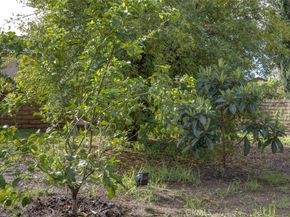 20442 Runnymede, Winnetka CA 91306