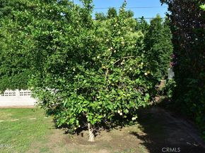 7642 Wish Avenue, Lake Balboa CA 91406