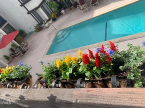 515 N Jackson Street 211, Los Angeles CA 91206