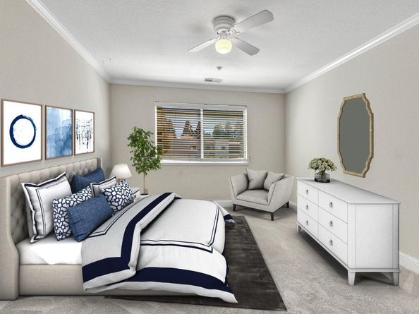 3183 Wayside Plaza 319, Walnut Creek CA 94597