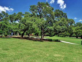 1903 40th ST, Austin TX 78731