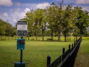 4617 Lava Island DR, Austin TX 78747