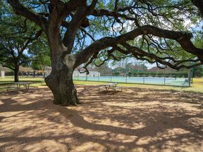 6906 Treaty Oak CIR, Austin TX 78749