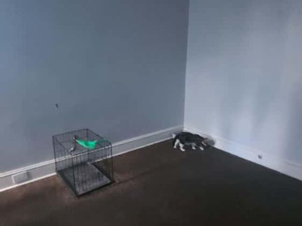 2228 W Indiana Avenue, Philadelphia PA 19132