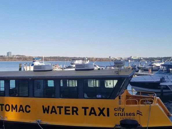 726 S Fayette Street 21, Alexandria VA 22314