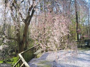 2201 Nobehar Drive, Vienna VA 22181