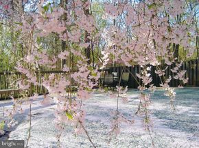 2201 Nobehar Drive, Vienna VA 22181