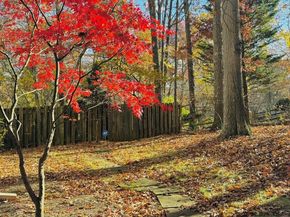 2201 Nobehar Drive, Vienna VA 22181