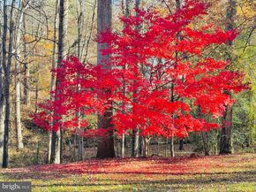 2201 Nobehar Drive, Vienna VA 22181