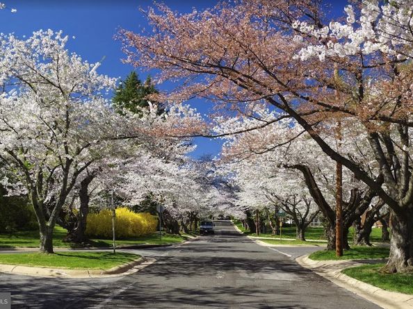 6739 Fairfax Road 7, Chevy Chase MD 20815
