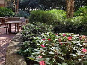820 N Pollard Street 810, Arlington VA 22203
