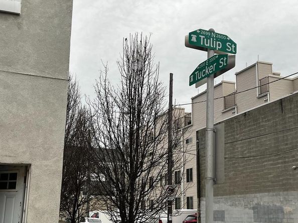 2637 Tulip And 2634-36 Agate Street Street, Philadelphia PA 19125