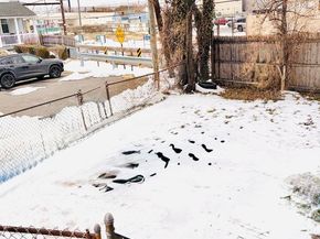 401 Holly Road, Yeadon PA 19050