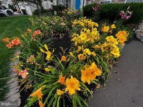 3805 E Brandon Way, Doylestown PA 18902