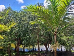 3172 N Greenleaf Circle, Boynton Beach FL 33426