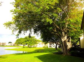 2900 Olivewood Terrace 203, Boca Raton FL 33431