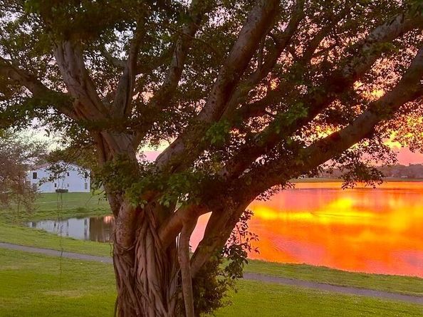 2900 Olivewood Terrace 203, Boca Raton FL 33431