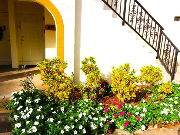 2900 Olivewood Terrace 203, Boca Raton FL 33431