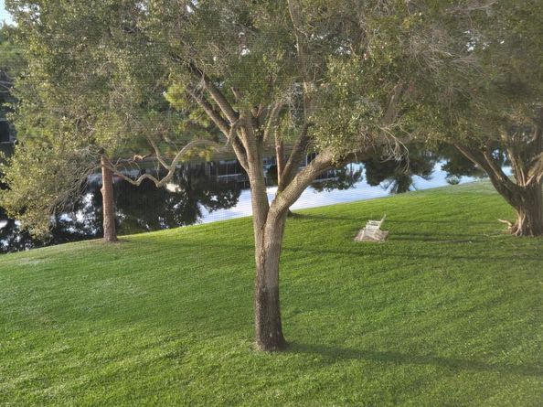 3011 Westbury F 3011, Deerfield Beach FL 33442