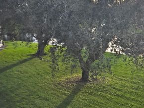 3011 Westbury F 3011, Deerfield Beach FL 33442