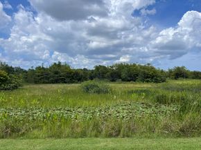 9229 Delemar Court, Wellington FL 33414