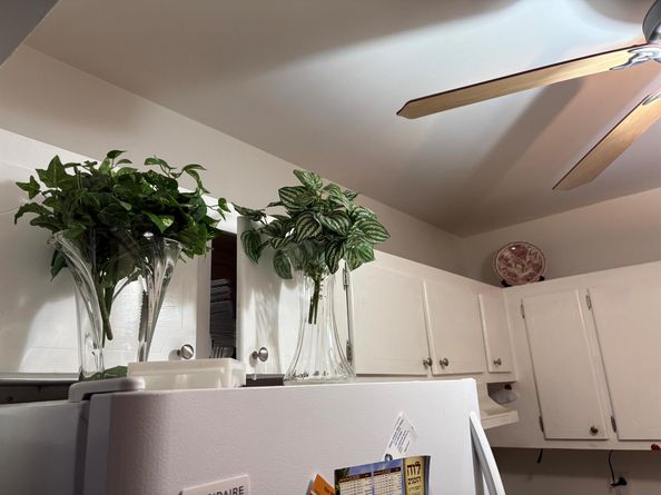 138 Waltham F, West Palm Beach FL 33417