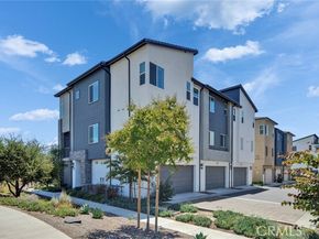 248 culture, Irvine CA 92618