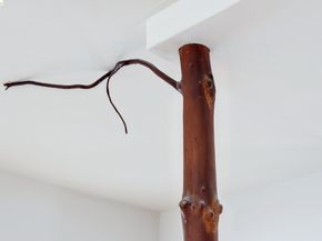 1234 Stannage Ave, Berkeley CA 94706