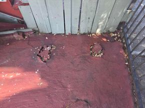 2859 E 9th Street, Oakland CA 94601