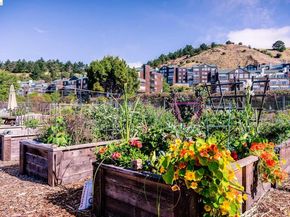 1400 Pinnacle Ct 401, Richmond CA 94801