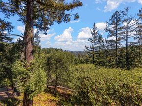 99 Via Floreado, Orinda CA 94563