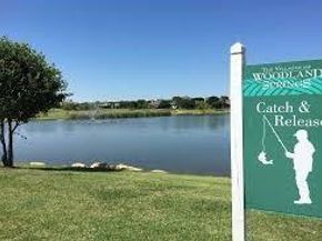 12428  Leaflet Drive , Fort Worth Texas 76244