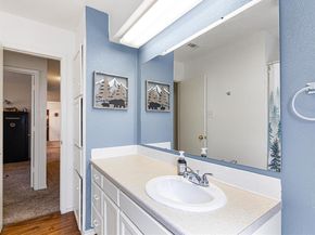 4505  Deer Lodge Court , Arlington Texas 76017