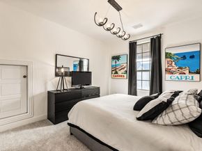 3220  Zenyatta Court , Celina Texas 75009