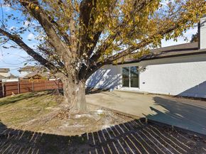 1003  Bellflower Court , Carrollton Texas 75007