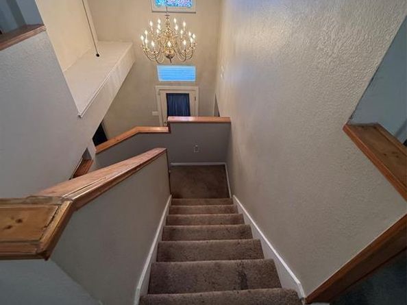 10216  Big Thicket Drive , Dallas Texas 75217