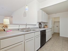 1205  Canvasback Drive , Aubrey Texas 76227