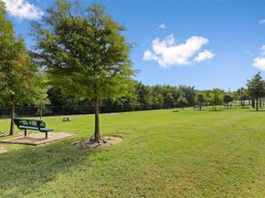 1721  Shoebill Drive , Little Elm Texas 75068
