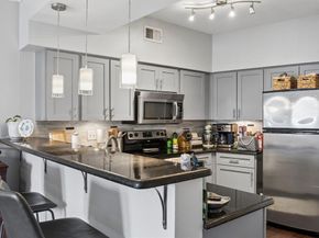 3102  Kings Road  1211, Dallas Texas 75219