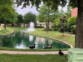 648  Laketrail Drive , Richardson Texas 75081