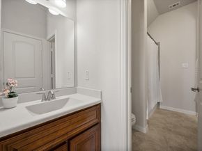 1100  Badger Vine Lane , Arlington Texas 76005